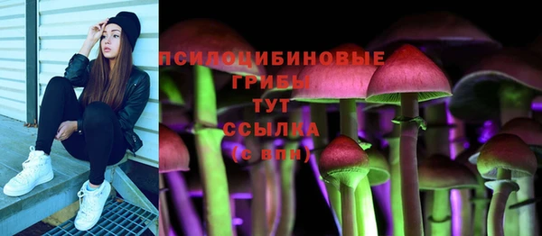 бошки Баксан